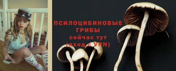 крисы Гусиноозёрск