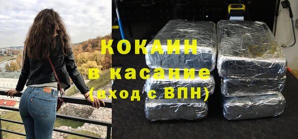 индика Тобольск